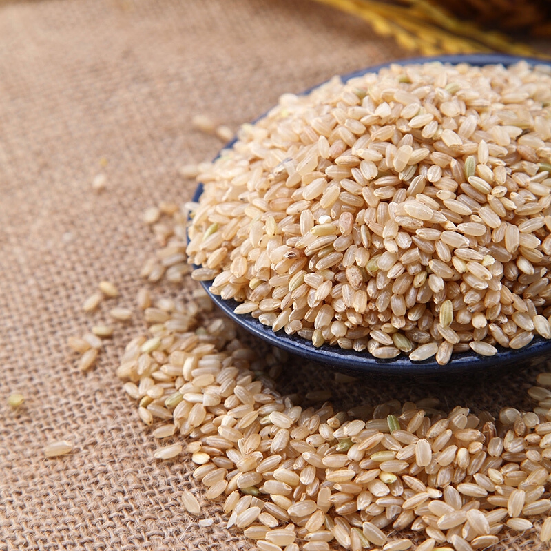 天地粮人 有机 糙米(含胚芽 东北 粗粮杂粮 大米伴侣)1.25kg