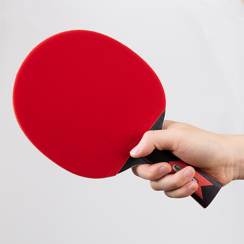 安格耐特(agnite)乒乓球拍 初学比赛训练直拍横拍单反双面反胶 弧圈